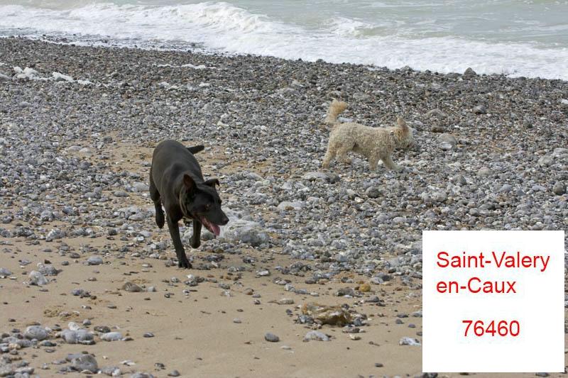 Cjp_2010_04_14_132852 (1).jpg